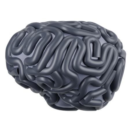 Cerveau humain  3D Icon