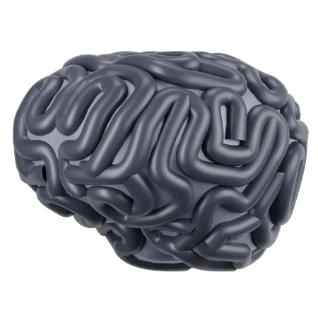 Cerveau humain  3D Icon