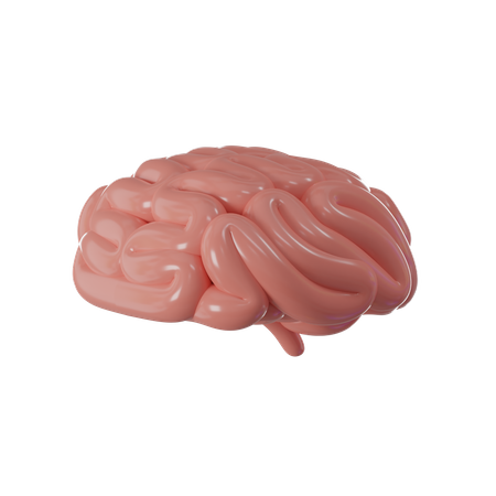 Cerveau humain  3D Icon