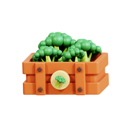 Cesta de brócolis  3D Icon
