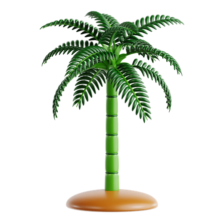 Chamaedorea Palm  3D Icon