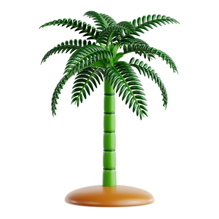 Chamaedorea Palm  3D Icon