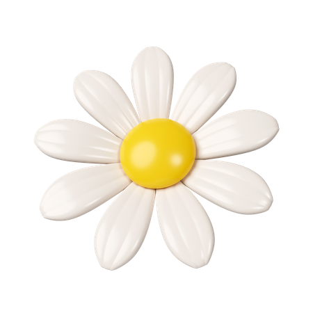 Chamomile Flower  3D Icon