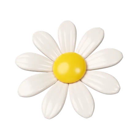 3 D Chamomile Flower Icon Isolated On White Background 3 D Rendering Illustration Clipping Path 3D Icon