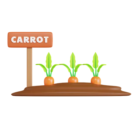 Champ de carottes  3D Icon
