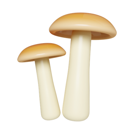 Champignon  3D Icon