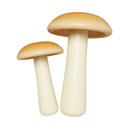 Champignon  3D Icon