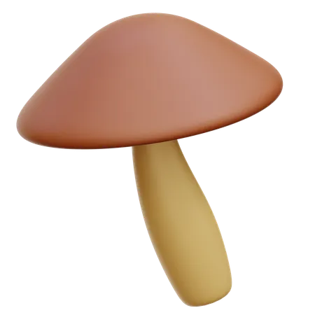 Champignon  3D Icon