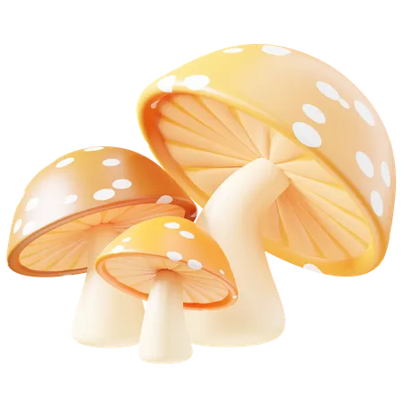 Champignon  3D Icon