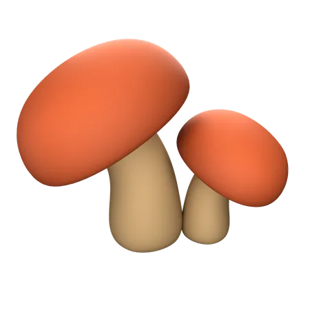 Champignon  3D Icon