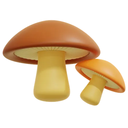 Champignon  3D Icon