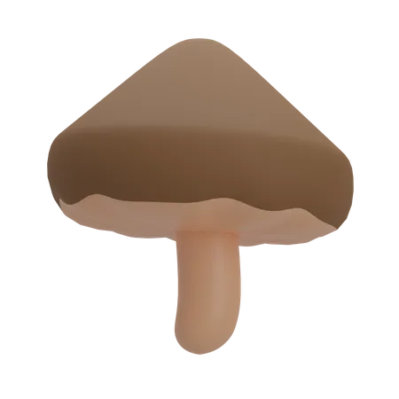 Champignon  3D Illustration