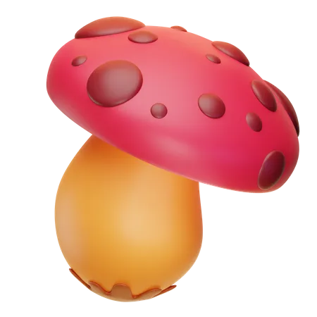 Champignon  3D Icon