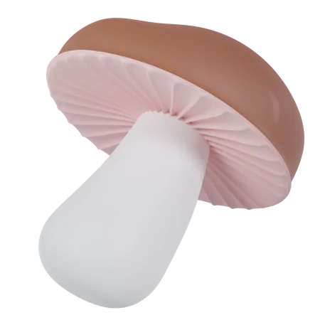 Champignon  3D Icon