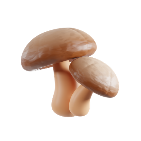 Champignon  3D Icon