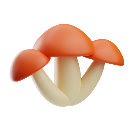 Champignon  3D Icon