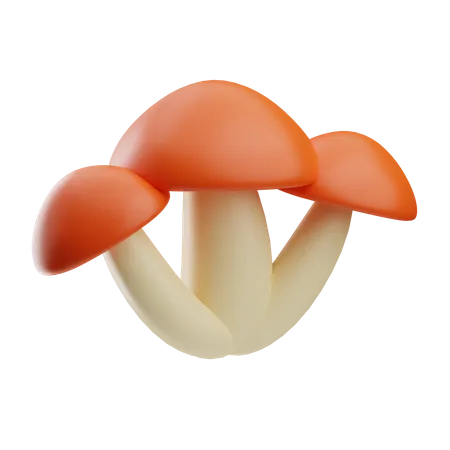 Champignon  3D Icon