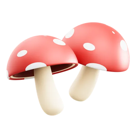 Champignon  3D Icon