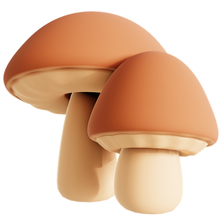 Champignon brun  3D Icon