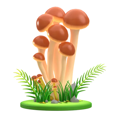 Grappe de champignon brun  3D Icon