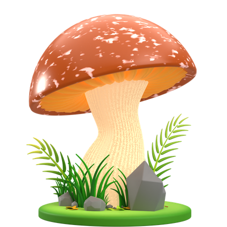 Champignon Marron et Blanc Plat  3D Icon