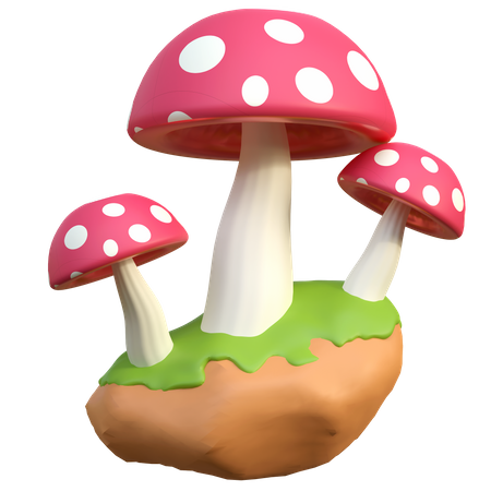 Champignon sauvage  3D Icon