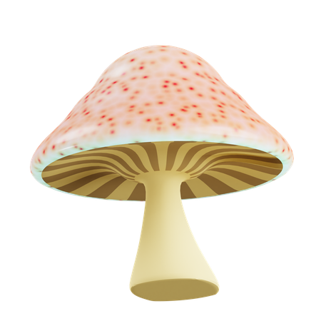 Champignon vénéneux  3D Icon