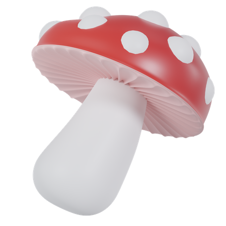 Champignons  3D Icon