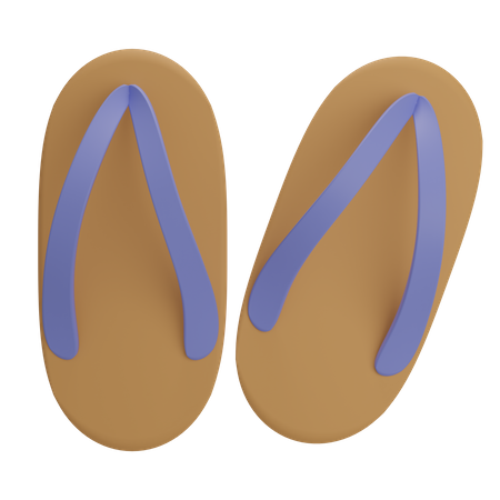 Chanclas  3D Illustration