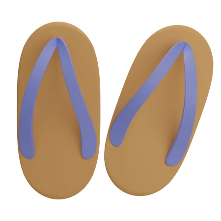 Chanclas  3D Illustration