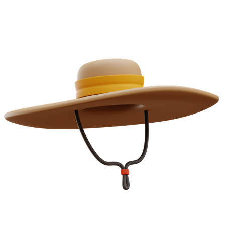 Chapeau de paille  3D Illustration