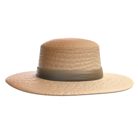 Chapeau rond  3D Icon