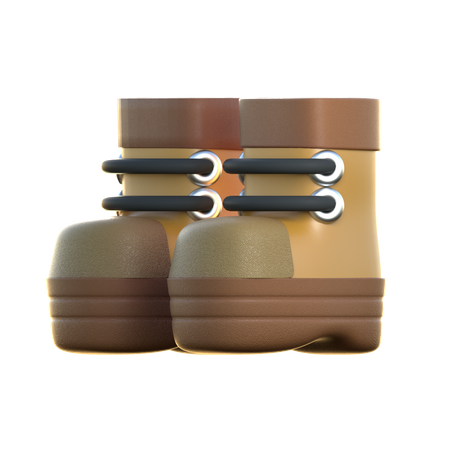 Chaussures d'aventure  3D Icon