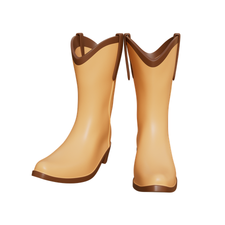 Chaussures de cow-boy  3D Icon