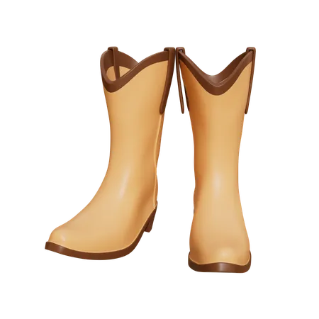 Chaussures de cow-boy  3D Icon