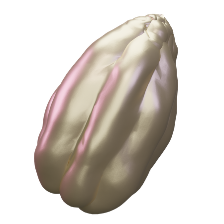 Chayote  3D Icon