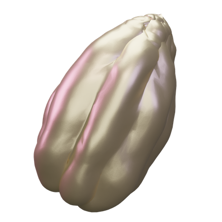 Chayote  3D Icon