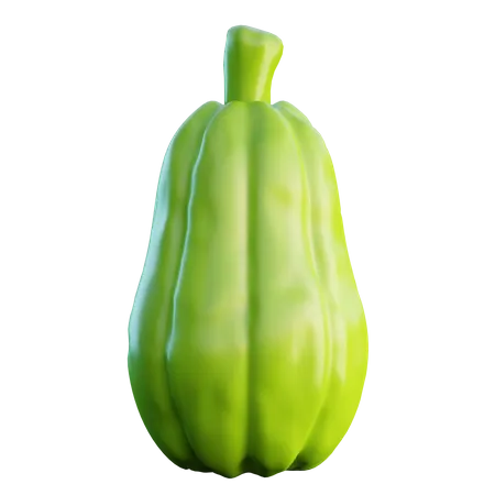 Squash  3D Icon