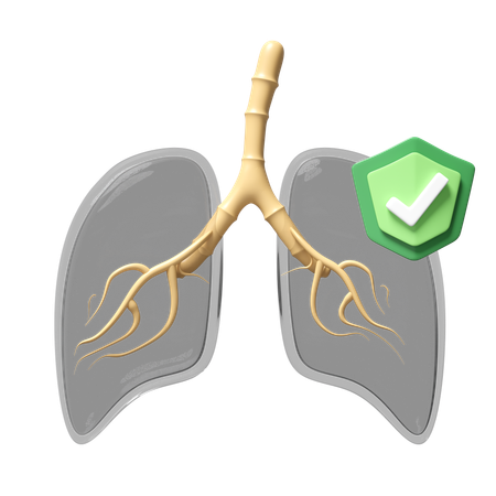 Checek Lungs  3D Icon