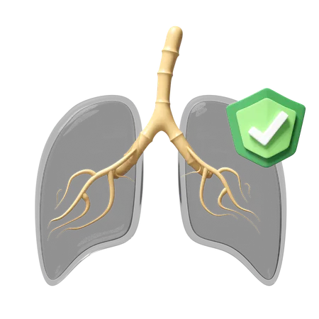 Checek Lungs  3D Icon