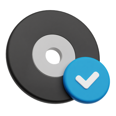 Check Disk  3D Icon