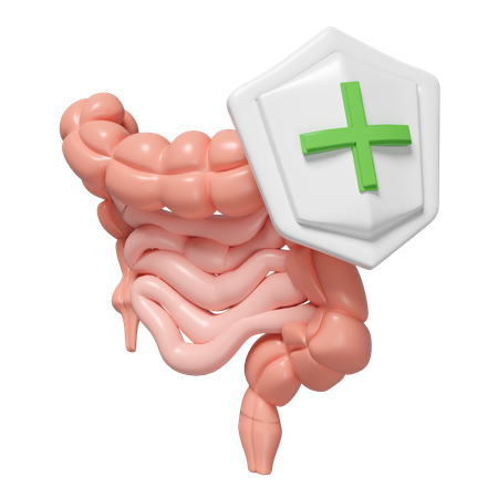 Check Intestine Health  3D Icon
