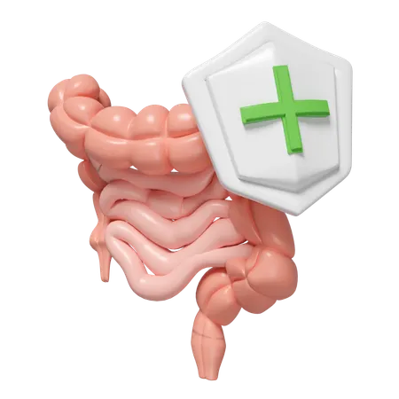 Check Intestine Health  3D Icon