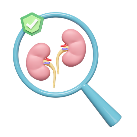 Check Kidney  3D Icon