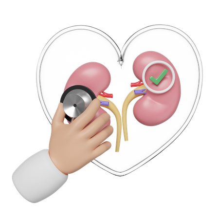 Check Kidney  3D Icon