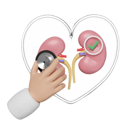 Check Kidney  3D Icon