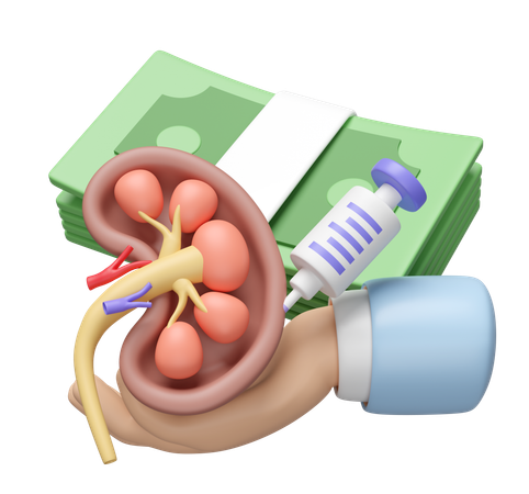Check Kidney  3D Icon