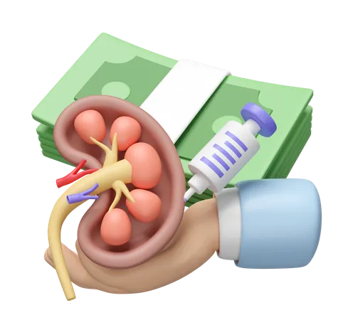 Check Kidney  3D Icon