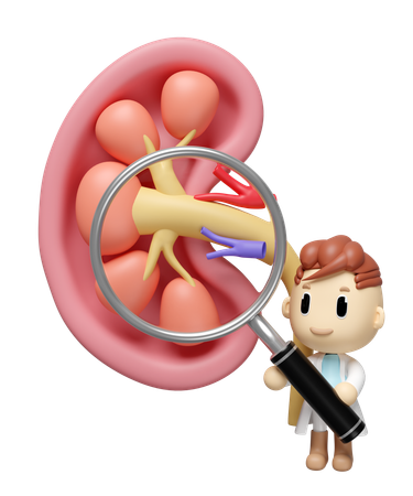 Check Kidney  3D Icon