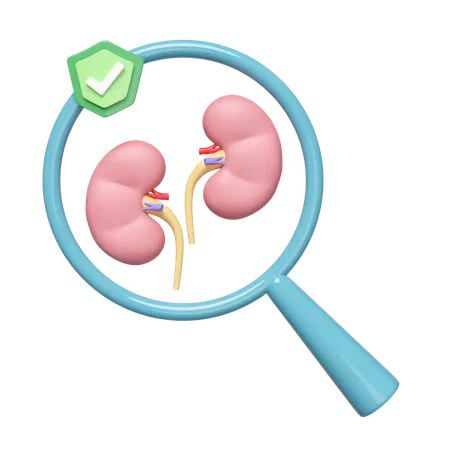 Check Kidney  3D Icon